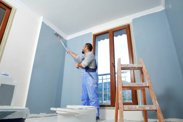 Best Wallpaper Removal and Painting  in Ofallon, IL